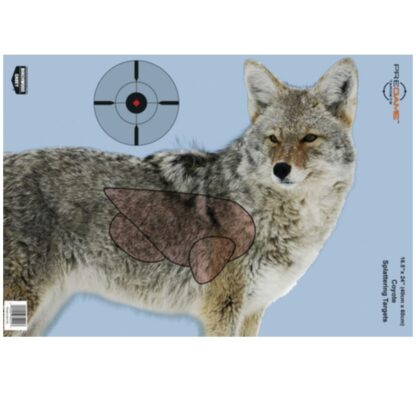 AXC_Tactical_Mesa_Arizona_axctactical_birchwood_casey_pregame_coyote_target